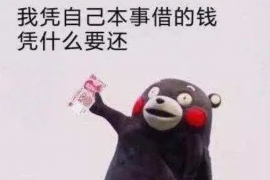 泰安专业讨债公司有哪些核心服务？